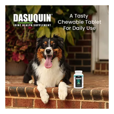 Product Nutramax Dasuquin for Large Dogs 60lbs and Over, Joint Supplement, Chewable Tablets, 150 Count