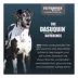 Nutramax Dasuquin for Large Dogs 60lbs and Over, Joint Supplement, Chewable Tablets, 150 Count image thumbnail 6