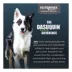 Nutramax Dasuquin for Small to Medium Dogs, Joint Health Supplement, Chewable Tablets image thumbnail 7