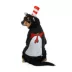 Cat In The Hat Hoodie image thumbnail 1