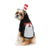 Cat In The Hat Hoodie image thumbnail 1