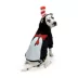 Cat In The Hat Hoodie image thumbnail 1