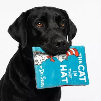 Cat in the Hat Book Flattie Dog toy - Image 7