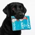 Cat in the Hat Book Flattie Dog toy image thumbnail 7