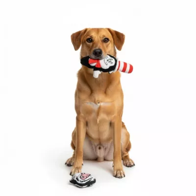  Cat in the Hat Dog and Fish Bowl 2pk Dog Toy - Image 5