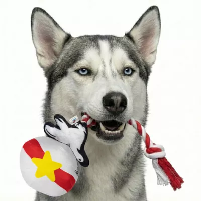 Cat in the Hat Rope Ball Plush Dog Toy - Image 5