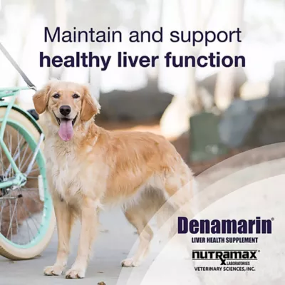 Product Nutramax Denamarin for Dogs 425mg x 30 Tablet Bottle