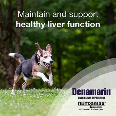 Product Nutramax Denamarin for Dogs 425mg x 30 Tablet Bottle