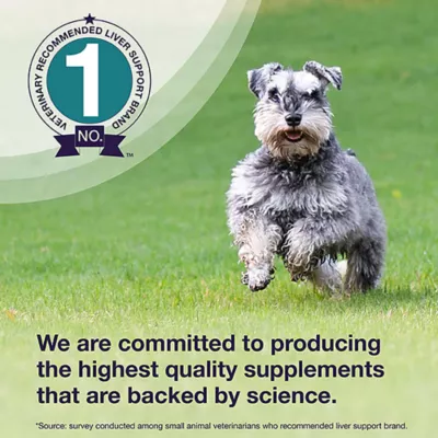 Product Nutramax Denamarin for Dogs 425mg x 30 Tablet Bottle