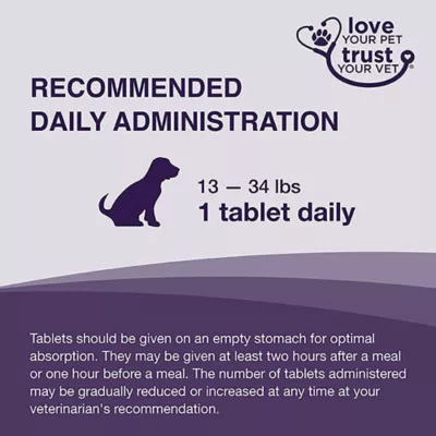 Product Nutramax Denamarin for Dogs 425mg x 30 Tablet Bottle