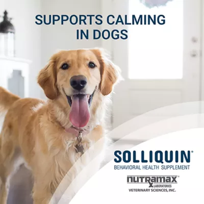 Product Nutramax Solliquin for Dogs and Large Cats, 75 Count Soft Chews
