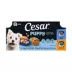 Cesar® Puppy Wet Dog Food - Chicken & Beef 12 Variety Pack 12 ct image thumbnail 1