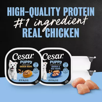 Cesar® Puppy Wet Dog Food - Chicken & Beef 12 Variety Pack 12 ct - Image 2