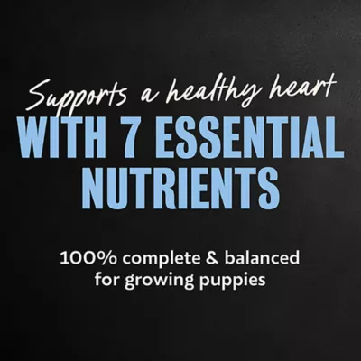 Cesar® Puppy Wet Dog Food - Chicken & Beef 12 Variety Pack 12 ct - Image 5