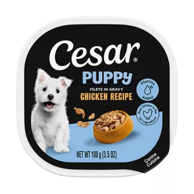 Cesar® Puppy Wet Dog Food - Chicken 3.5 oz - Image 1