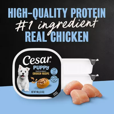 Cesar® Puppy Wet Dog Food - Chicken 3.5 oz - Image 2