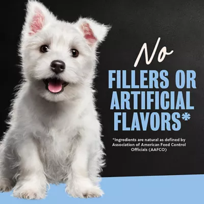 Cesar® Puppy Wet Dog Food - Chicken 3.5 oz - Image 4