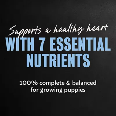 Cesar® Puppy Wet Dog Food - Chicken 3.5 oz - Image 5