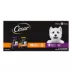 Cesar® Adult Wet Dog Food Pouches - 20 ct Variety Pack image thumbnail 1