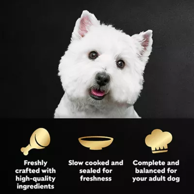 Cesar® Adult Wet Dog Food Pouches - 20 ct Variety Pack - Image 3