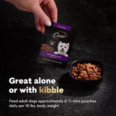 Cesar® Adult Wet Dog Food Pouches - 20 ct Variety Pack - Image 6