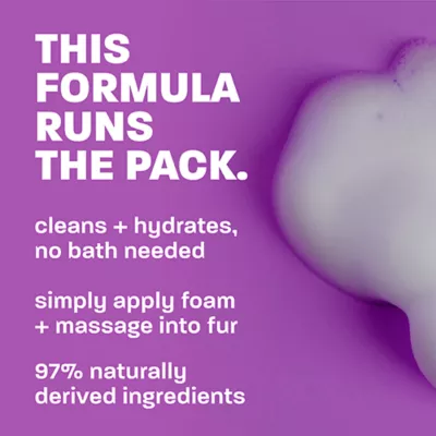 TropiClean Dander Reducing Waterless Shampoo for Cats - Dry Shampoo - 7.4 OZ - Image 3