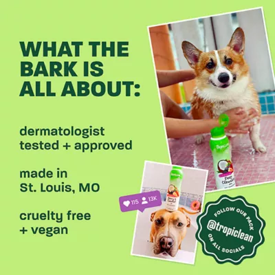 TropiClean Dander Reducing Waterless Shampoo for Cats - Dry Shampoo - 7.4 OZ - Image 5