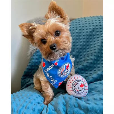 Product Pawty Animals Toronto Woofjays Plush Dog Toy