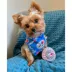 Pawty Animals Toronto Woofjays Plush Dog Toy image thumbnail 5