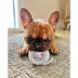 Pawty Animals Toronto Woofjays Plush Dog Toy image thumbnail 6