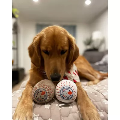 Product Pawty Animals Toronto Woofjays Plush Dog Toy