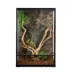 Reptizoo Glass Terrarium image thumbnail 1