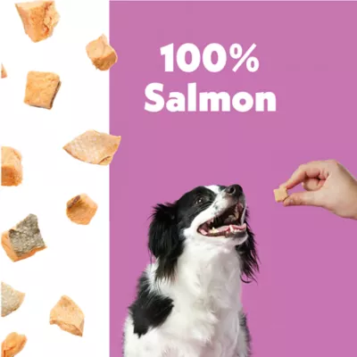 Wiggles & Wags Freeze Dried Dog Training Treats - Salmon 9oz - Image 3