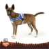 Arcadia Trail® Mesh Harness Dog image thumbnail 1