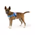 Arcadia Trail® Mesh Harness Dog image thumbnail 1