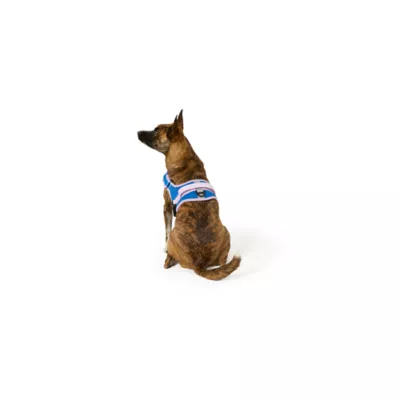 Arcadia Trail® Mesh Harness Dog - Image 2