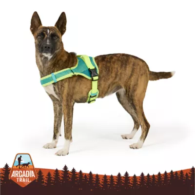 Arcadia Trail®  Mesh Harness Dog - Image 1