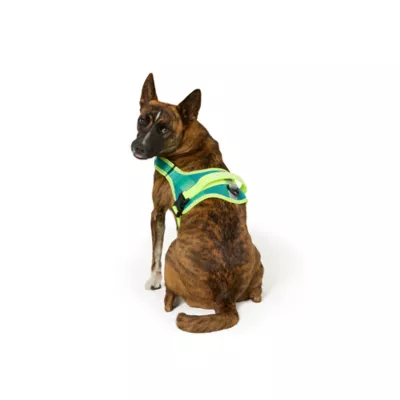 Arcadia Trail®  Mesh Harness Dog - Image 2