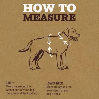 Arcadia Trail®  Mesh Harness Dog - Image 5