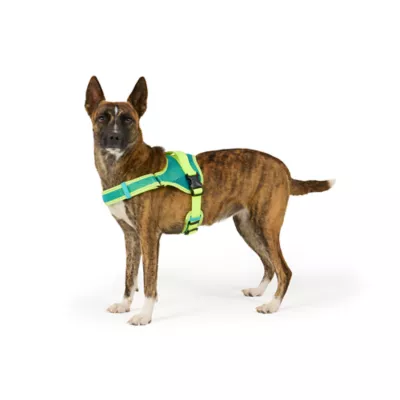 Arcadia Trail®  Mesh Harness Dog - Image 1