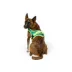 Arcadia Trail®  Mesh Harness Dog image thumbnail 2