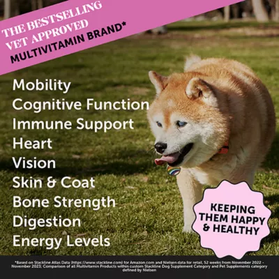 Product Pet Honesty 10-in-1 Multivitamin for Senior Dogs, Duck Flavored Soft Chews, 90 Count