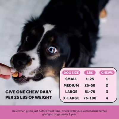 Product Pet Honesty 10-in-1 Multivitamin for Senior Dogs, Duck Flavored Soft Chews, 90 Count