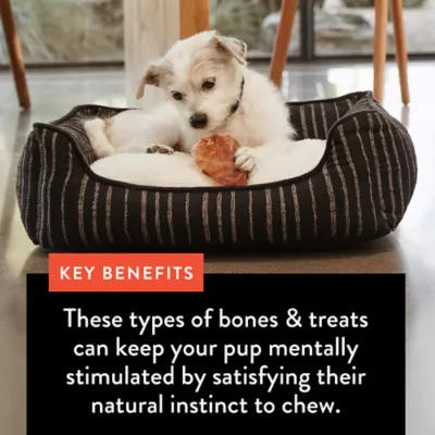 Dentley's® Nature's Chews Adult Dog Chews - Turkey Tendon Rings 6 ct - Image 5