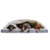 Snoozer® Cozy Cave® Rectangular Ortho Dog Bed image thumbnail 1
