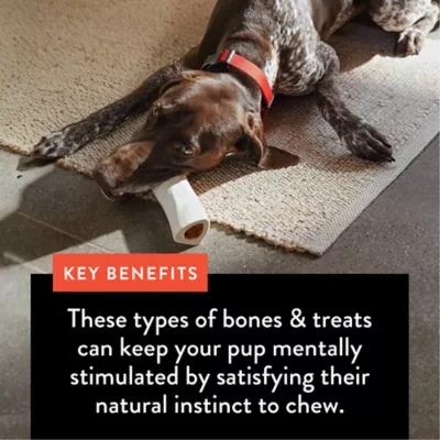 Dentley's® Nature's Chews Full Pig Ear Dog Chew - Image 5