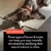 Dentley's® Nature's Chews Full Pig Ear Dog Chew image thumbnail 5