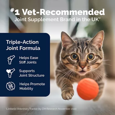 Product Vetnique's YuMOVE Joint Support Supplement for Senior Cats, 60 Capsules