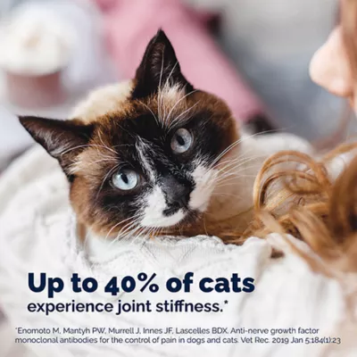 Product Vetnique's YuMOVE Joint Support Supplement for Senior Cats, 60 Capsules