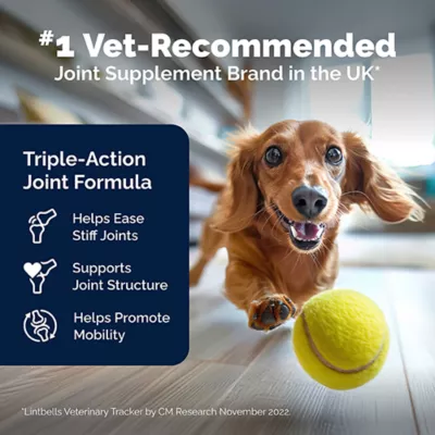 Product Vetnique's YuMOVE Advanced Vet Strength Hip & Joint Soft Chews for Dogs, Savory Seafood Flavor